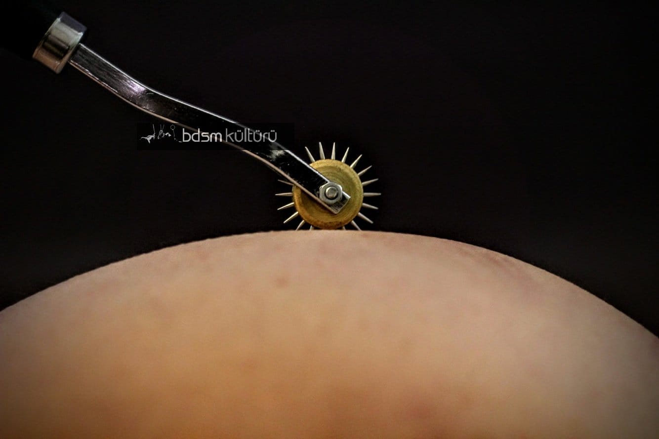 Wartenberg Wheel