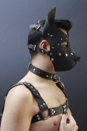 Shibari Eğitimleri, El Yapımı Deri Ürünler, BDSM Ürünleri, Sex Shop 53 Deri Köpek Maskesi