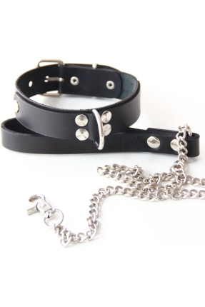 D Ring Owned Collar