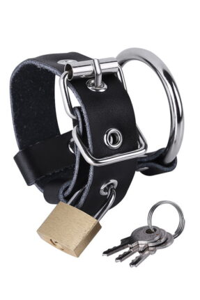 Adjustable, Lockable, Interchangeable Ring Penis Ring (Image 1)