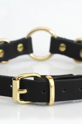 Shibari Eğitimleri, El Yapımı Deri Ürünler, BDSM Ürünleri, Sex Shop 41 O Ring Deri Choker