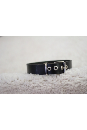 Slave Duty Collar