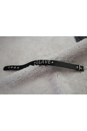 Slave Duty Collar