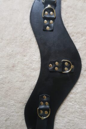 BDSM Training Posture Collar