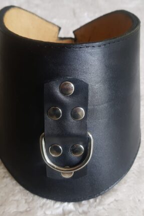 BDSM Training Posture Collar