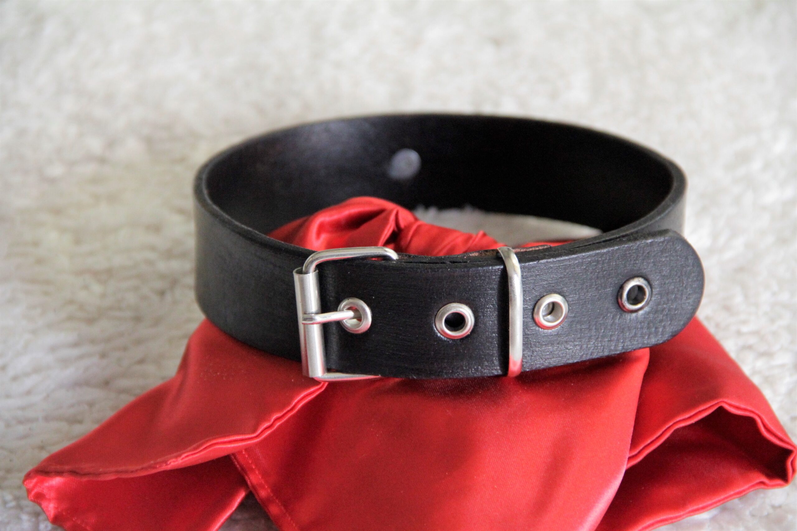 Günlük Fetiş Tasma / Daily Collar 3 Günlük Fetiş Tasma / Daily Collar görsel 3