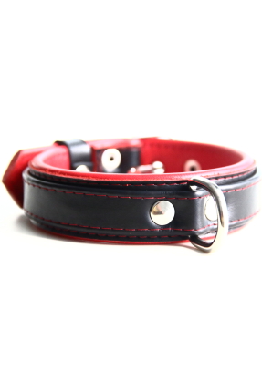 BDSM Play Collar