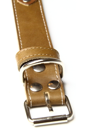 Pet Play Collar "Sigma"