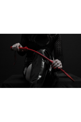 Riding Crop / Binici Kamçısı