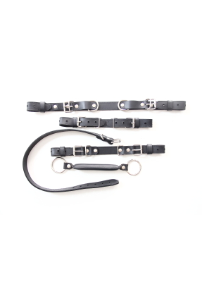 Pony Play Bit Gag Head Harness + Bit Gag