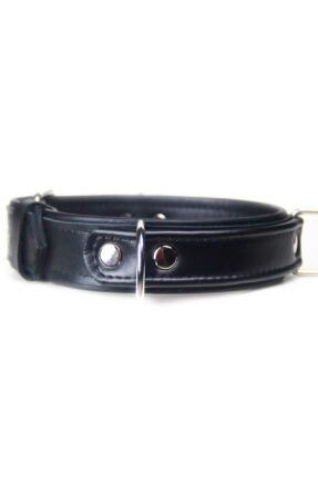 3 Ring Play Collar