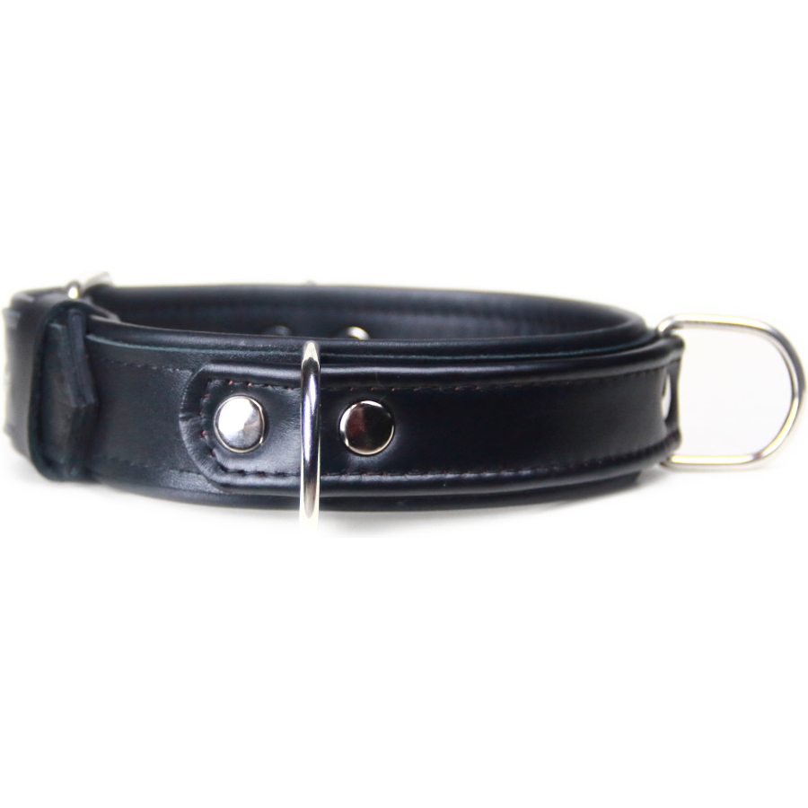 3 Halkalı Play Collar