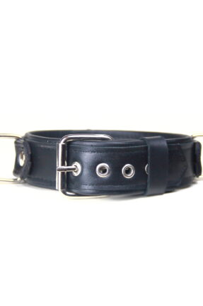 3 Ring Play Collar