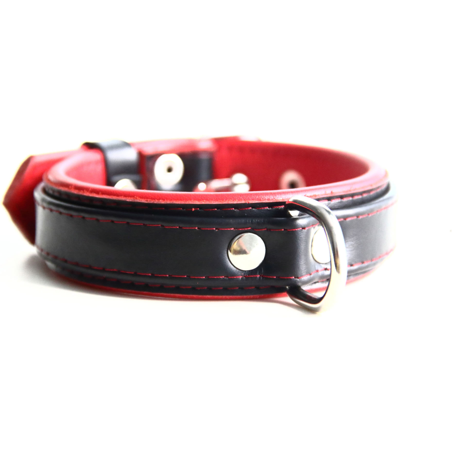 BDSM Play Collar