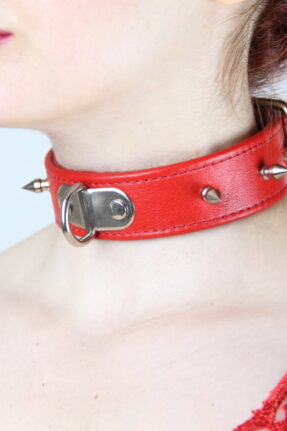 BDSM Spiked Training Collar