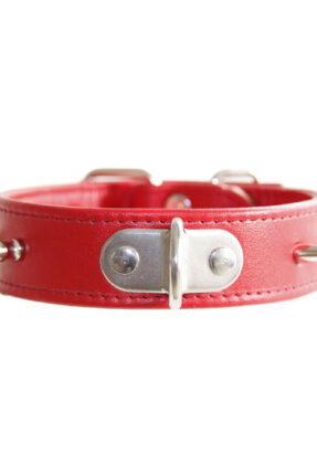 BDSM Spiked Training Collar (Image 1)