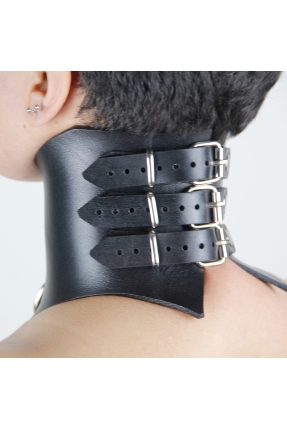 Mono BDSM Posture Collar