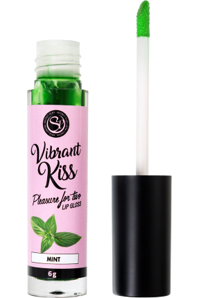 SECRET PLAY Dudak Parlatıcı Nane Aromalı, 6 gr