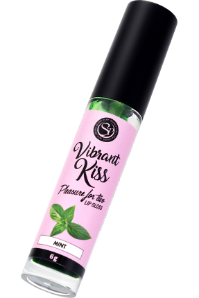 SECRET PLAY Dudak Parlatıcı Nane Aromalı, 6 gr