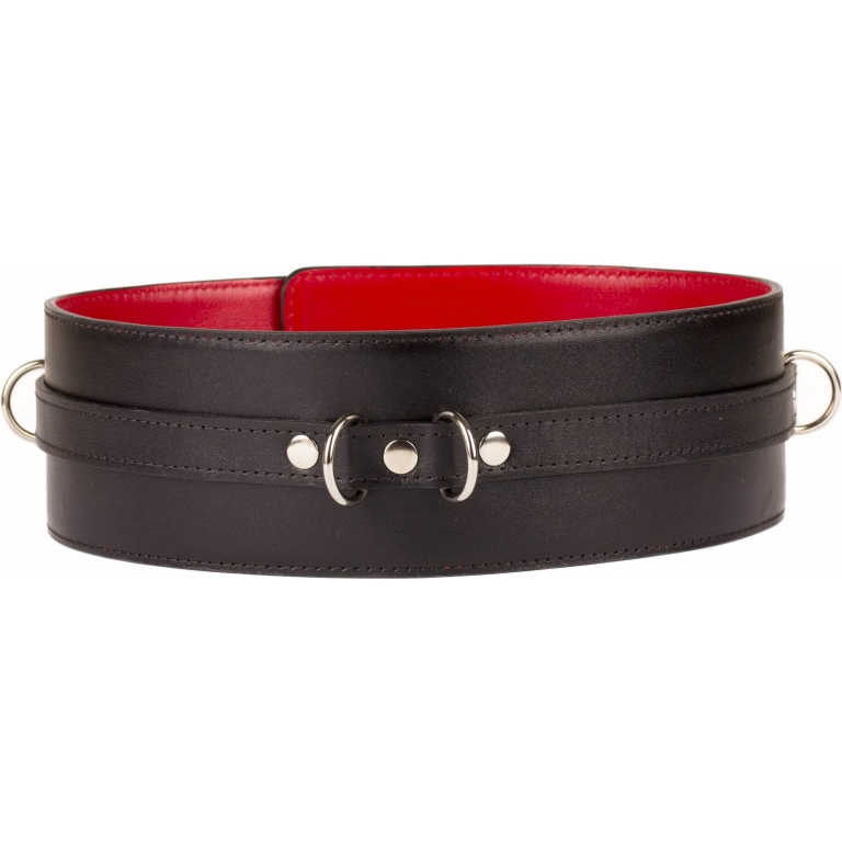 BDSM Bondage, Esaret Kemeri