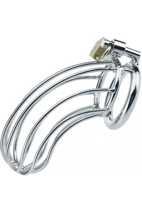 BDSM Stainless Steel Penis Cage