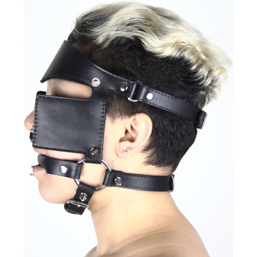 Pony Play Bit Gag