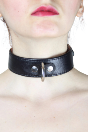 BDSM Daily Simple D Ring Choker Image 1