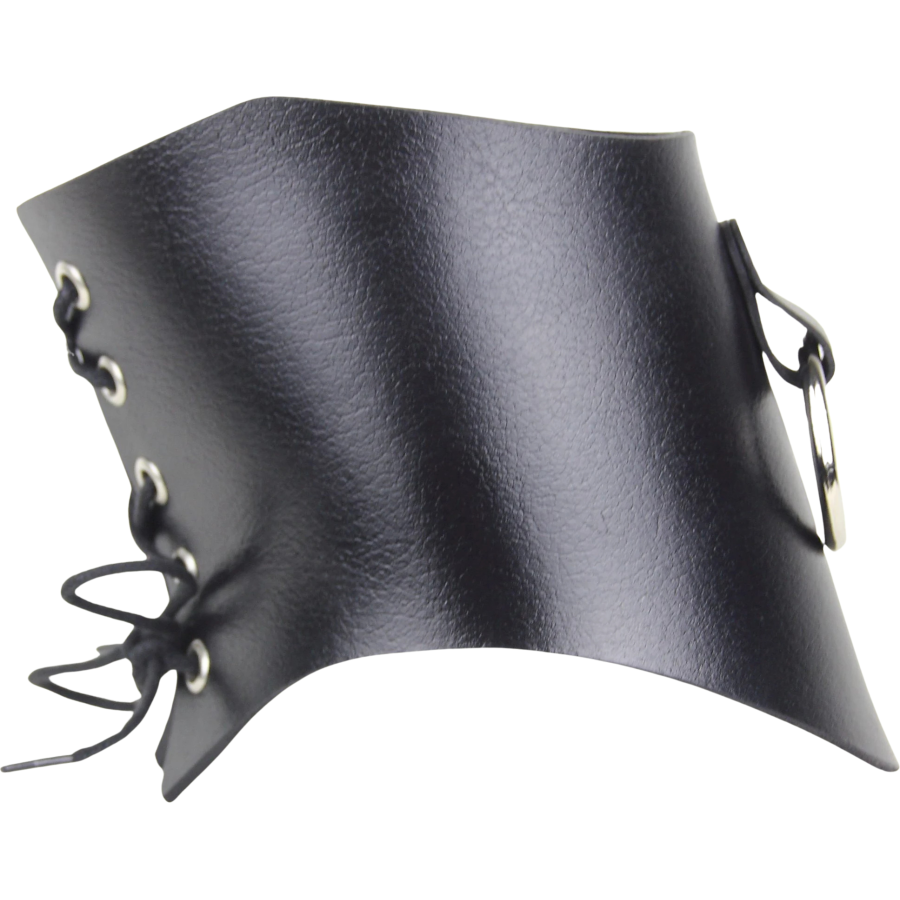 Mono BDSM Posture Collar
