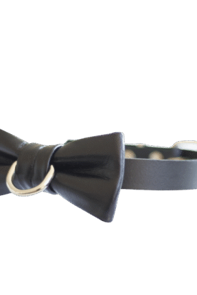 Bow Tie Choker Collar