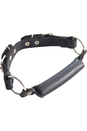 Pony Play Leather Bit Gag