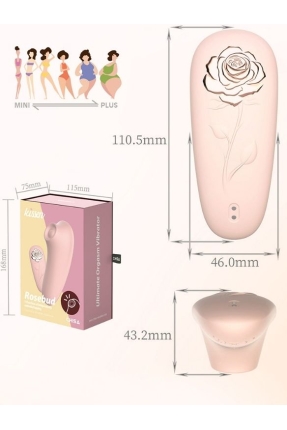 Chisa Kissen Rosebud