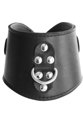 BDSM Training Posture Collar image 1