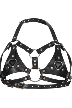 Bra Harness (Image 1)