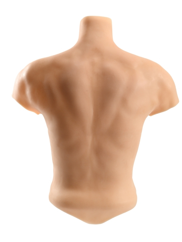 3 Kg Giyilebilir Silikon Erkek - Görsel 5