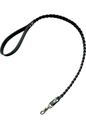 Braided Leash