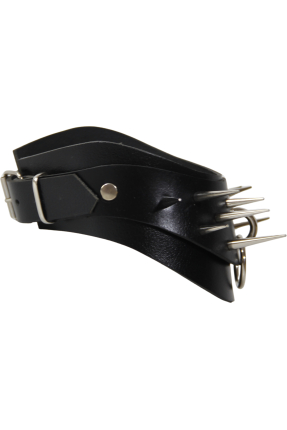 Layka Spiked Posture Collar