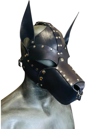Guard Leather Dog Mask