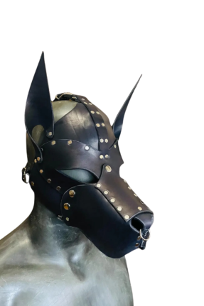 Guard Leather Dog Mask (Image 1)
