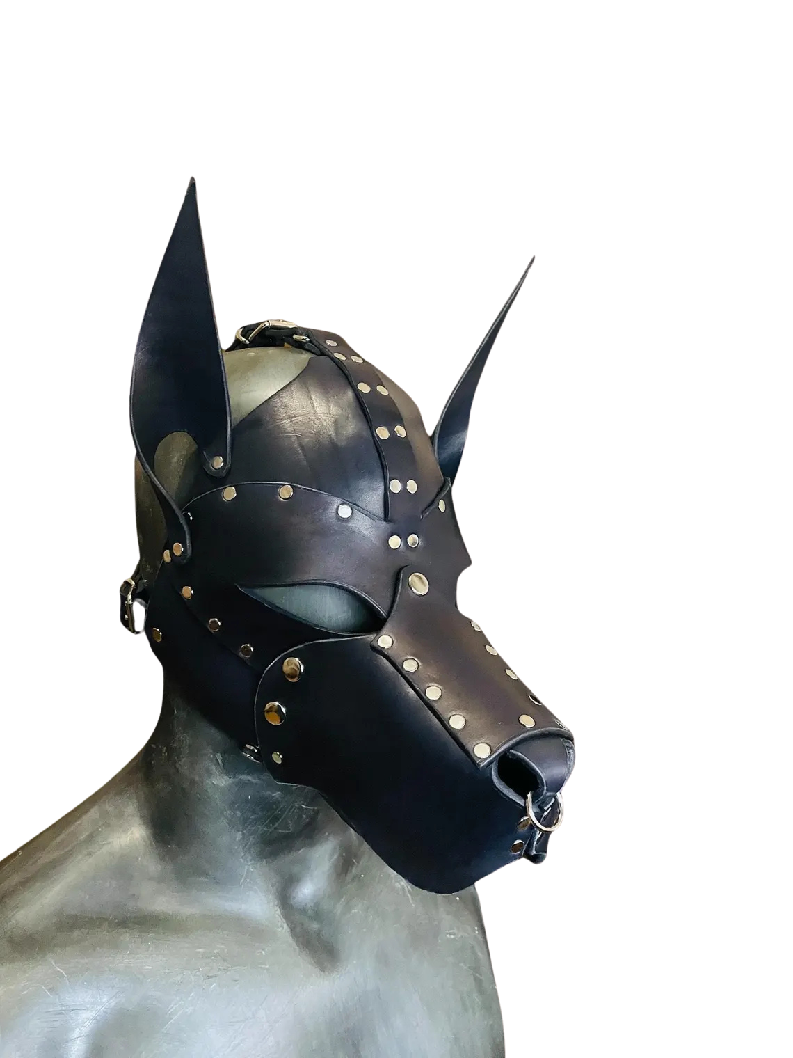 Guard Deri Köpek Maskesi