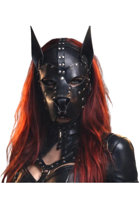 Guard Leather Dog Mask