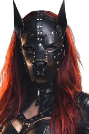 Guard Leather Dog Mask