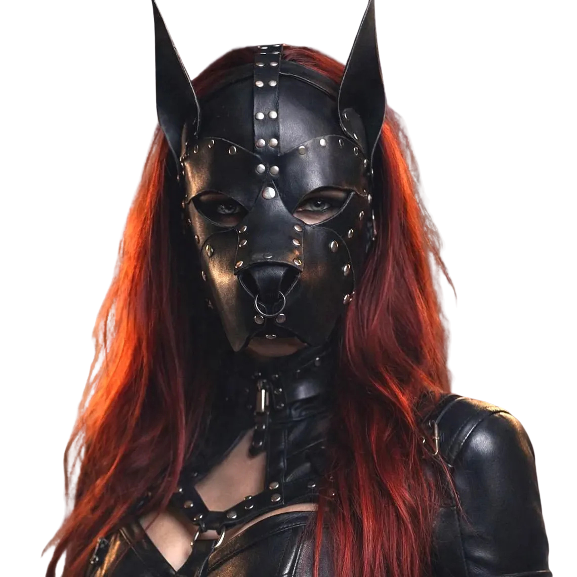 Guard Deri Köpek Maskesi - Görsel 4