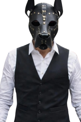 Guard Leather Dog Mask