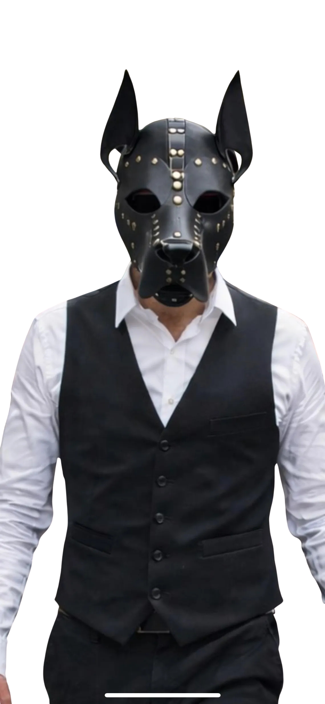 Guard Deri Köpek Maskesi - Görsel 2