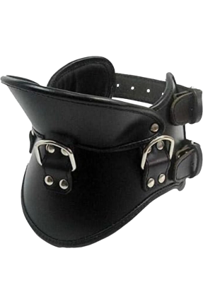 Training Posture Collar