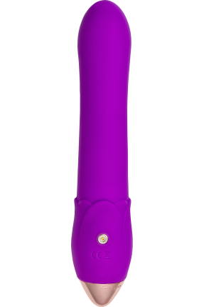 Wesea Silicone Vibrating Shower Head – Purple, 20.5 cm