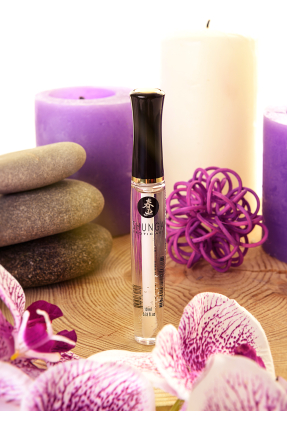 Shunga "Divine Delight" lip gloss, icy fire effect, strawberry and champagne, 10 ml