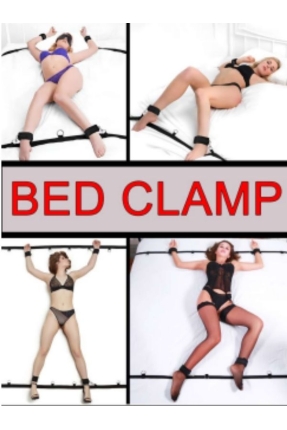 Bed Securing Belt and Clamp