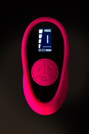 eroTEQ Prawno Çiftlere Özel Kumandalı Vibratör – 18 cm